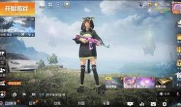 和平精英爆料小视频,神秘小视频揭示游戏新内容